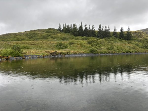 Hagavík við Þingvallavatn - Image 3